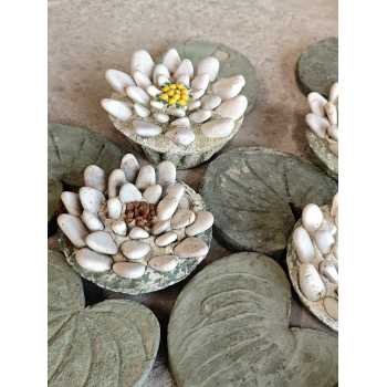 N&eacute;nuphars en ciment