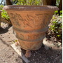 Little Médicis terracotta pots 