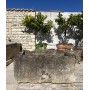 Bac en pierre